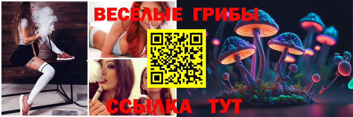 Химки  Галлюциногенные грибы Psilocybe  Вход с VPN 